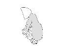 besseria dimidiata_complesso epandriale (M) laterale scala 0,5mm