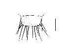 besseria melanura_scutello (F) dorsale scala 0,5mm