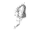 billaea biserialis_capo (M) laterale scala 1mm