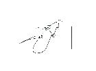 cylindromyia brevicornis_antenna (F) latero-anteriore scala 0,5mm