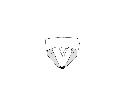 labigastera latiforceps_terminali (F) dorsale scala 0,5mm