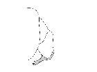zeuxia erythraea_complesso epandriale laterale scala 1mm