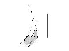 zeuxia zernyi_complesso epandriale laterale scala 1mm